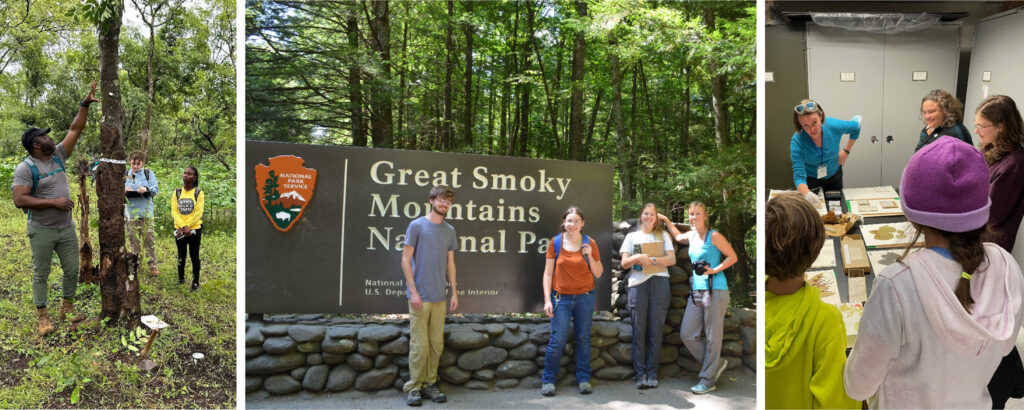 Left: A man points at a tree in the woods while students take notes
Middle: Students in front of a sign for the Great Smoky Mountains National Park
Right: Students talking with an instructor around a table